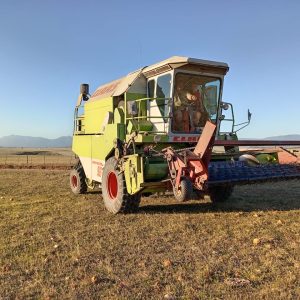 Claas Dominator 96