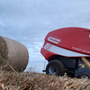 Maschio baler