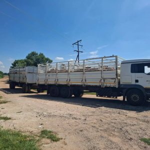 Livestock Transport Combo