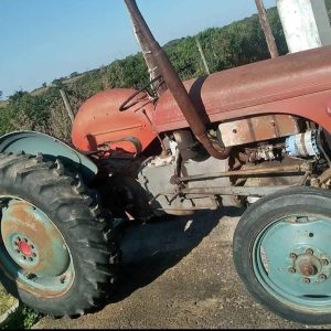 Vaaljapie petrol trekker