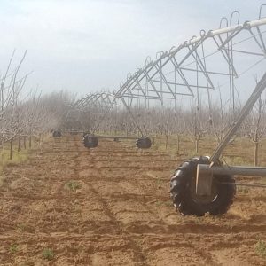 Kimberley 5 toring Spilpunt 33 Hkt