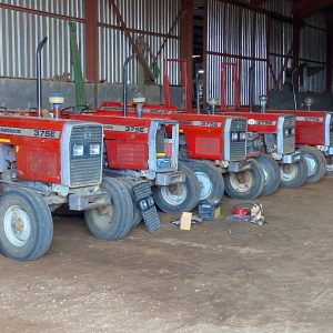 Massey Ferguson 375E