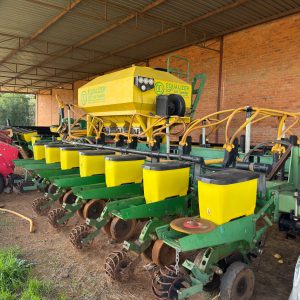 18 rye 0.91 sonneblom en mielie Equilizer planter